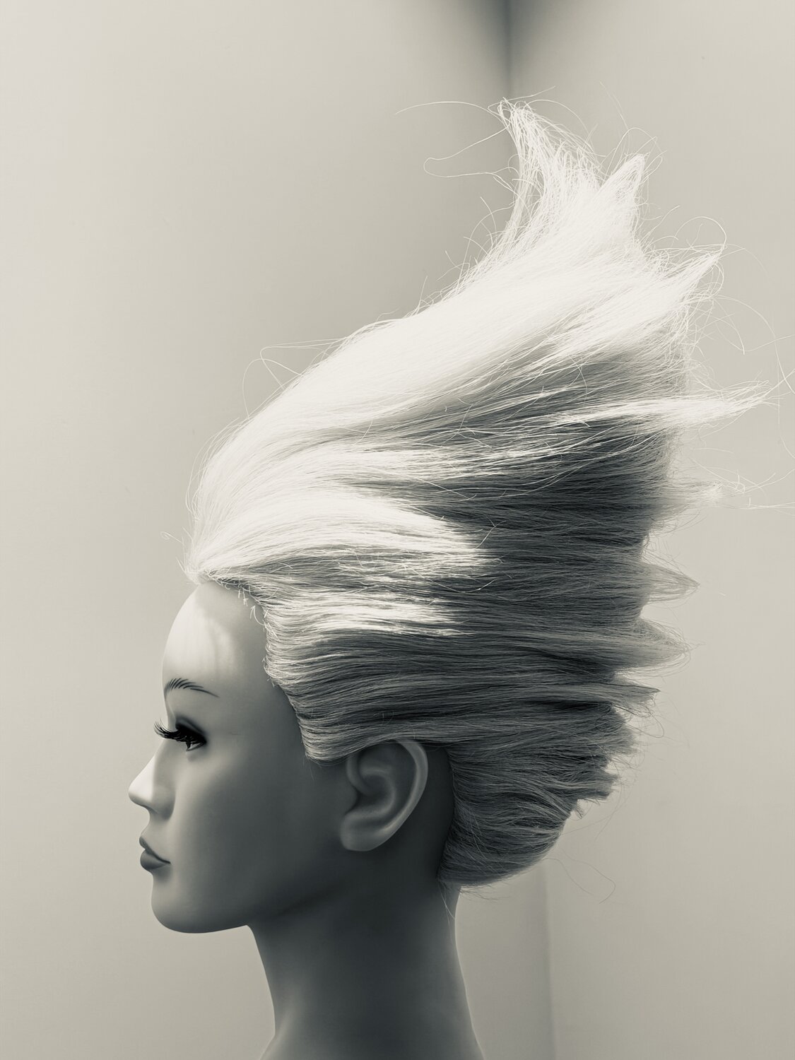 JDO Hairstyling Immersion on location