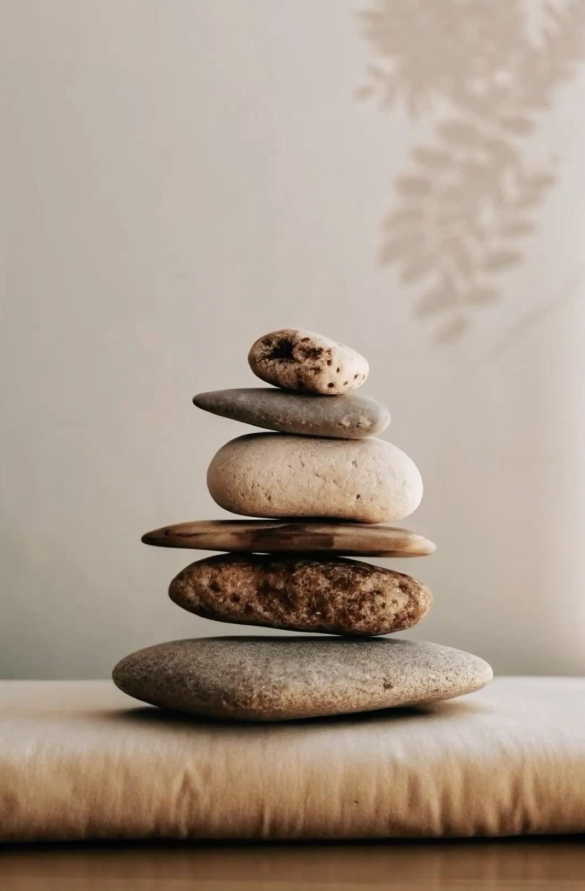 JDO Wellbeing